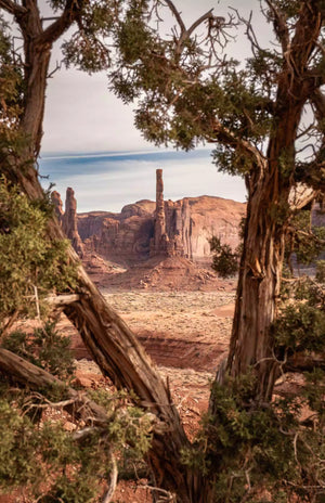 Totem Pole Framed - Digital Download